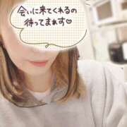 ヒメ日記 2025/11/25 10:09 投稿 小鳥遊 凛（たかなし りん） 湯房すずめ