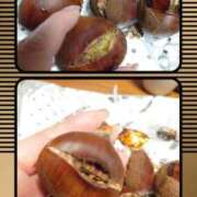 ヒメ日記 2025/12/01 15:45 投稿 小鳥遊 凛（たかなし りん） 湯房すずめ