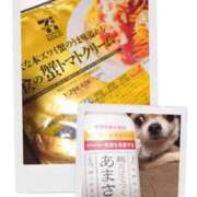 ヒメ日記 2025/12/01 23:34 投稿 小鳥遊 凛（たかなし りん） 湯房すずめ