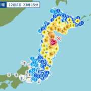 ヒメ日記 2025/12/08 23:52 投稿 小鳥遊 凛（たかなし りん） 湯房すずめ