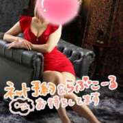 ヒメ日記 2025/12/10 21:30 投稿 小鳥遊 凛（たかなし りん） 湯房すずめ