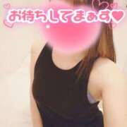 ヒメ日記 2025/12/12 12:28 投稿 小鳥遊 凛（たかなし りん） 湯房すずめ