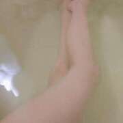 ヒメ日記 2025/12/18 06:00 投稿 小鳥遊 凛（たかなし りん） 湯房すずめ