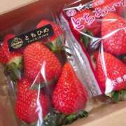 ヒメ日記 2026/01/03 18:27 投稿 小鳥遊 凛（たかなし りん） 湯房すずめ