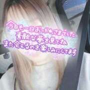 ヒメ日記 2026/01/09 21:55 投稿 小鳥遊 凛（たかなし りん） 湯房すずめ