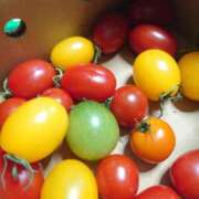 ヒメ日記 2026/01/09 22:09 投稿 小鳥遊 凛（たかなし りん） 湯房すずめ