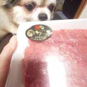 ヒメ日記 2026/01/14 11:27 投稿 小鳥遊 凛（たかなし りん） 湯房すずめ