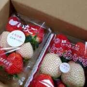 ヒメ日記 2026/01/18 23:48 投稿 小鳥遊 凛（たかなし りん） 湯房すずめ