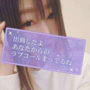 ヒメ日記 2026/01/30 11:34 投稿 小鳥遊 凛（たかなし りん） 湯房すずめ