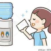 ヒメ日記 2026/02/01 14:45 投稿 小鳥遊 凛（たかなし りん） 湯房すずめ