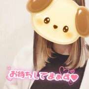 ヒメ日記 2026/02/09 10:42 投稿 小鳥遊 凛（たかなし りん） 湯房すずめ