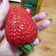 ヒメ日記 2026/02/21 23:33 投稿 小鳥遊 凛（たかなし りん） 湯房すずめ