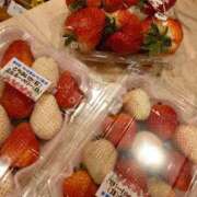 ヒメ日記 2026/02/23 19:39 投稿 小鳥遊 凛（たかなし りん） 湯房すずめ