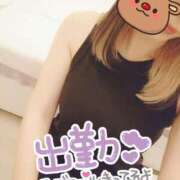 ヒメ日記 2026/02/24 12:25 投稿 小鳥遊 凛（たかなし りん） 湯房すずめ