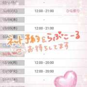 ヒメ日記 2026/02/28 19:42 投稿 小鳥遊 凛（たかなし りん） 湯房すずめ