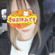 ヒメ日記 2026/03/06 11:36 投稿 小鳥遊 凛（たかなし りん） 湯房すずめ