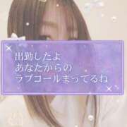 ヒメ日記 2026/03/13 08:01 投稿 小鳥遊 凛（たかなし りん） 湯房すずめ