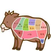 ヒメ日記 2026/03/13 16:57 投稿 小鳥遊 凛（たかなし りん） 湯房すずめ