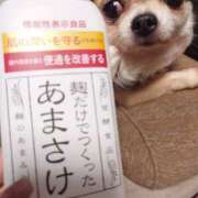 ヒメ日記 2026/03/17 11:52 投稿 小鳥遊 凛（たかなし りん） 湯房すずめ