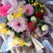 ヒメ日記 2026/03/20 22:13 投稿 小鳥遊 凛（たかなし りん） 湯房すずめ