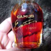 ヒメ日記 2026/03/21 11:15 投稿 小鳥遊 凛（たかなし りん） 湯房すずめ