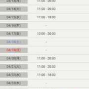 ヒメ日記 2026/04/08 10:59 投稿 小鳥遊 凛（たかなし りん） 湯房すずめ