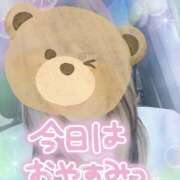 ヒメ日記 2026/06/16 11:56 投稿 小鳥遊 凛（たかなし りん） 湯房すずめ