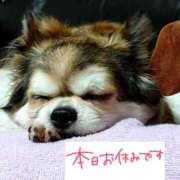 ヒメ日記 2026/07/18 11:43 投稿 小鳥遊 凛（たかなし りん） 湯房すずめ