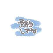 ヒメ日記 2026/09/13 13:31 投稿 小鳥遊 凛（たかなし りん） 湯房すずめ