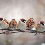 ヒメ日記 2025/01/31 23:25 投稿 柏木 歌音（かしわぎ かのん） 湯房すずめ