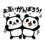 ヒメ日記 2025/02/10 07:47 投稿 柏木 歌音（かしわぎ かのん） 湯房すずめ