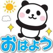 ヒメ日記 2025/02/11 07:33 投稿 柏木 歌音（かしわぎ かのん） 湯房すずめ