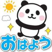 ヒメ日記 2025/02/12 08:51 投稿 柏木 歌音（かしわぎ かのん） 湯房すずめ