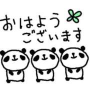 ヒメ日記 2025/02/20 08:20 投稿 柏木 歌音（かしわぎ かのん） 湯房すずめ