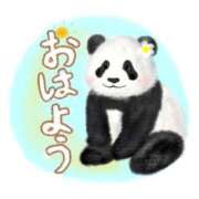 ヒメ日記 2025/02/23 07:37 投稿 柏木 歌音（かしわぎ かのん） 湯房すずめ