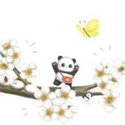 ヒメ日記 2025/03/01 07:44 投稿 柏木 歌音（かしわぎ かのん） 湯房すずめ