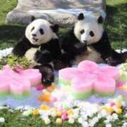 ヒメ日記 2025/03/03 19:35 投稿 柏木 歌音（かしわぎ かのん） 湯房すずめ