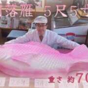 ヒメ日記 2025/03/08 21:24 投稿 柏木 歌音（かしわぎ かのん） 湯房すずめ