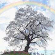 ヒメ日記 2025/03/11 08:27 投稿 柏木 歌音（かしわぎ かのん） 湯房すずめ