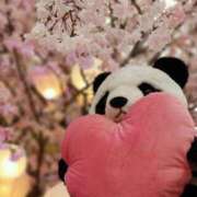 ヒメ日記 2025/04/01 09:45 投稿 柏木 歌音（かしわぎ かのん） 湯房すずめ