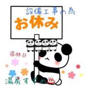 ヒメ日記 2025/04/08 07:44 投稿 柏木 歌音（かしわぎ かのん） 湯房すずめ