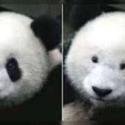 ヒメ日記 2025/04/21 21:24 投稿 柏木 歌音（かしわぎ かのん） 湯房すずめ