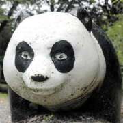 ヒメ日記 2025/04/24 21:23 投稿 柏木 歌音（かしわぎ かのん） 湯房すずめ