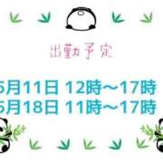 ヒメ日記 2025/05/07 20:30 投稿 柏木 歌音（かしわぎ かのん） 湯房すずめ