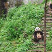 ヒメ日記 2025/05/22 17:40 投稿 柏木 歌音（かしわぎ かのん） 湯房すずめ