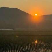 ヒメ日記 2025/06/13 22:33 投稿 柏木 歌音（かしわぎ かのん） 湯房すずめ