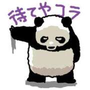 ヒメ日記 2025/06/16 16:46 投稿 柏木 歌音（かしわぎ かのん） 湯房すずめ