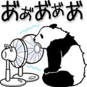 ヒメ日記 2025/07/01 07:37 投稿 柏木 歌音（かしわぎ かのん） 湯房すずめ