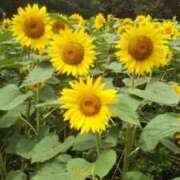 ヒメ日記 2025/07/23 18:26 投稿 柏木 歌音（かしわぎ かのん） 湯房すずめ