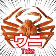 ヒメ日記 2025/10/12 19:03 投稿 柏木 歌音（かしわぎ かのん） 湯房すずめ